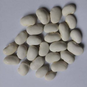 Fasole albă uriașă